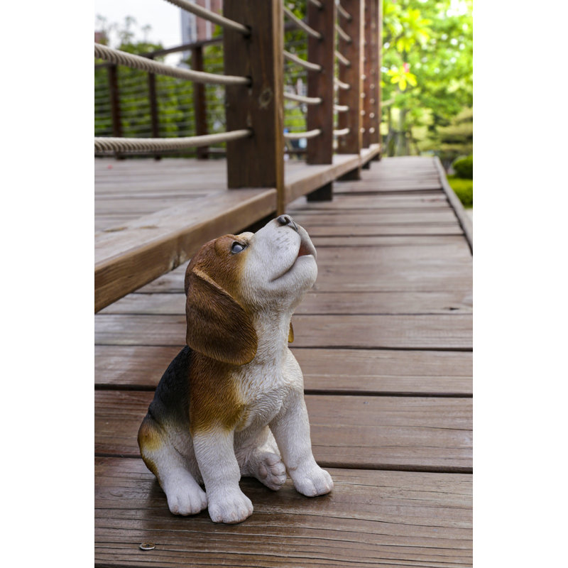 Beagle Puppy Howling
