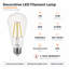 Ampoule DEL à filament Euri Lighting ST19, 7 W, 800 lm, équivalent 75 W, 2700 K, culot E26, dimmable, étanche, homologuée UL