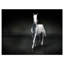 Cheval noir isolé sur noir - impression sur toile tendue-19239101