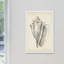 Single Picture Frame Print-165818366