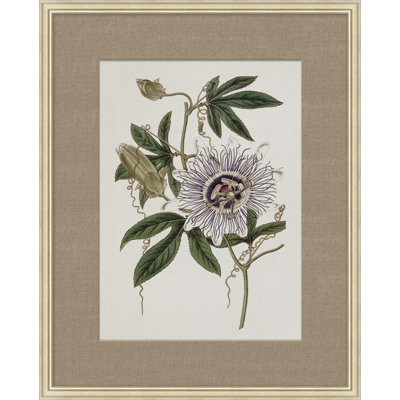 Floral Study In Plum 4 Painting