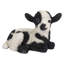Bébé agneau couché-50844491