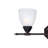 Gutierrez 3 - Light Vanity Light