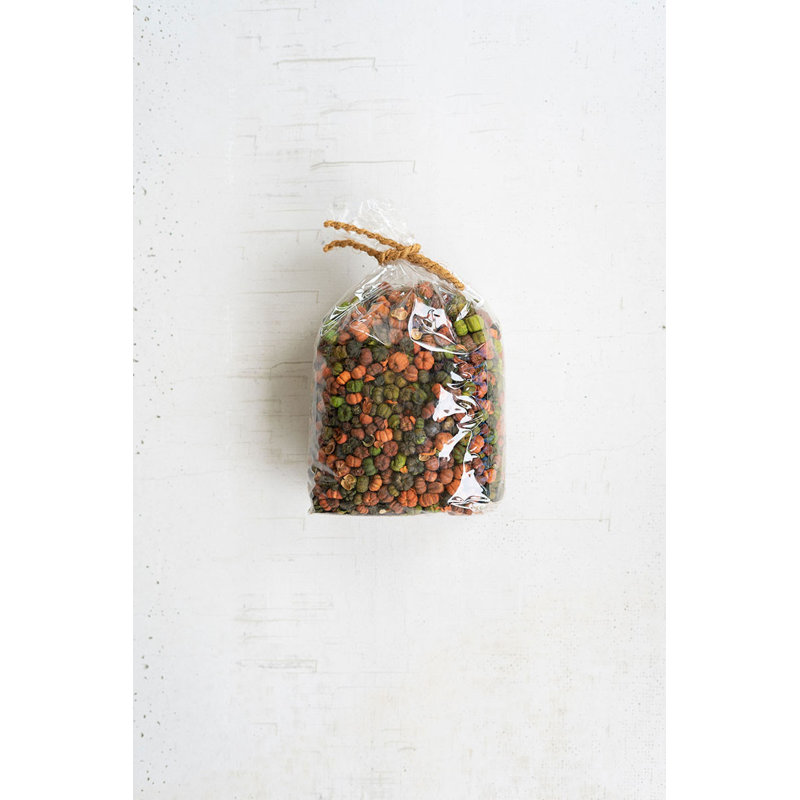 Mini-citrouille séchée orange et verte - 7 "de haut par Pumpkin 
