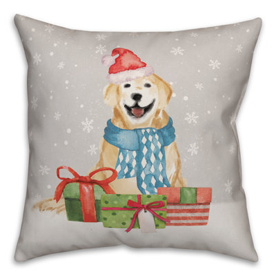 Throw Pillow