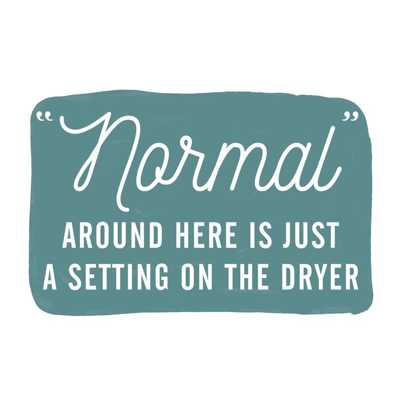 Normal Just a Setting on the Dryer - Textual Art Print, 81cm H x 122cm W, Black Floater Framed