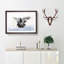 Flying Pigeon in Abstract - Framed Print-55728173-55728178
