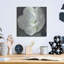 «Magnolia III Sage» par Carol Rowan-1295411348