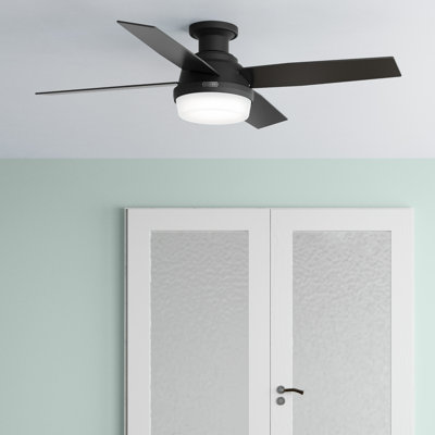 Ceiling Fan with LED Lights