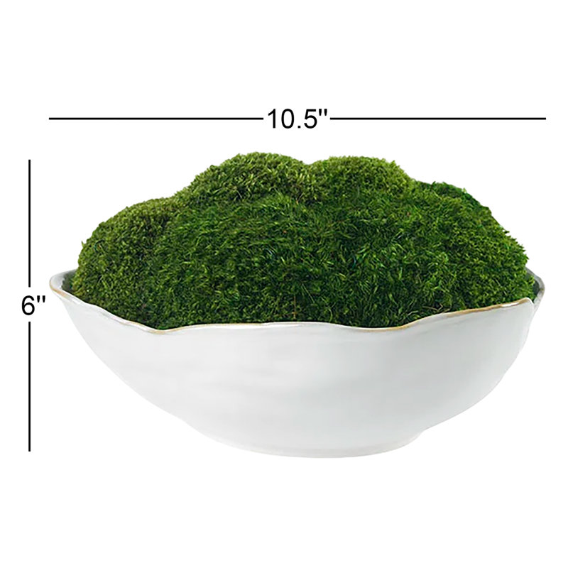 Mousse dans un bol en céramique blanche