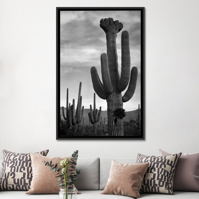 Saguaros, Saguaro National Monument par - impression, Toile avec cadre noir, Pas de tapis, H 60 po x l 40 po x P 1,5 po