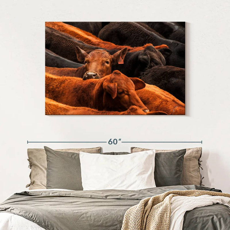 Brampt Beef Cattle, 32" H x 48" W