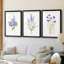 Lilas botanique délicat - impression encadrée sur mesure de qualité supérieure - 3 pièces-939360848