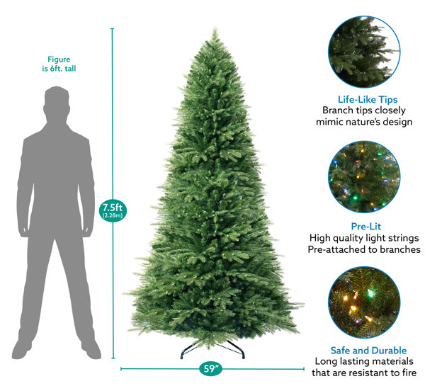 The Holiday Aisle® Birch 48' Traditional Christmas Tree with LED Lights and Remote  Control, Christmas Tree