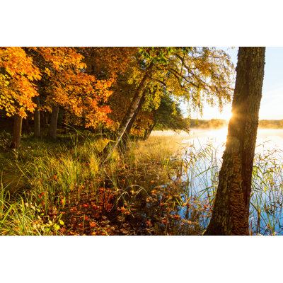 Misty Sunrise - Wrapped Canvas Print