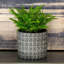Cement/Sand Planter-1701793601