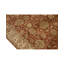 Wool Oriental Area Rug
