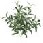 152cm Plant