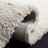 Performance Indoor Rug-1579276718