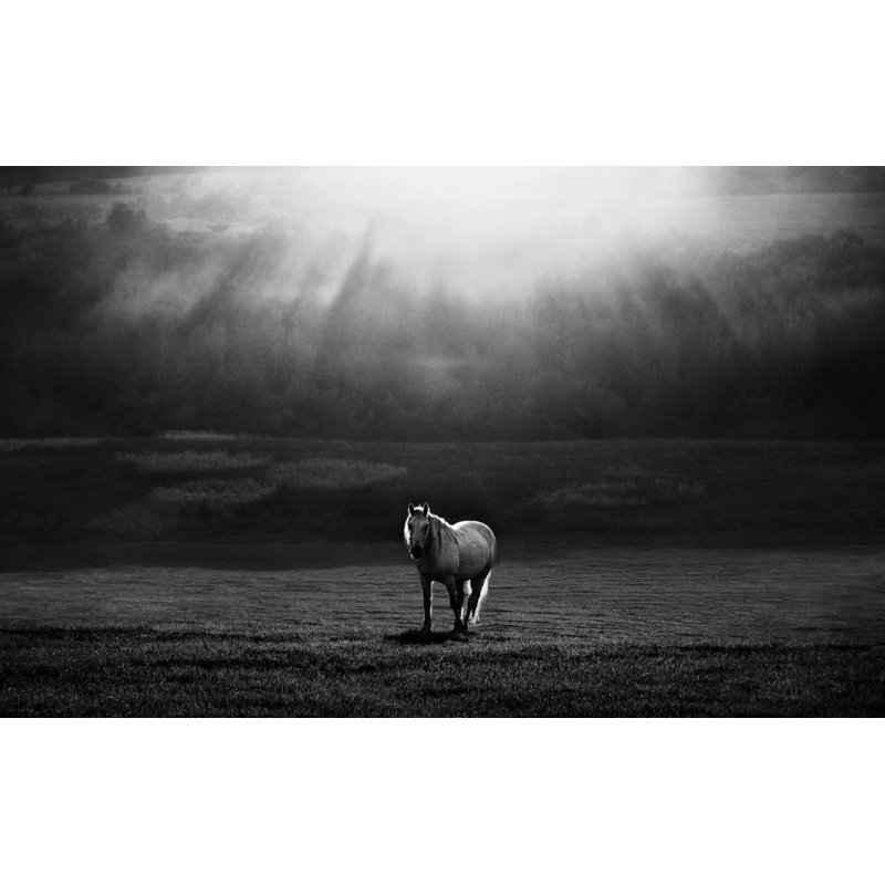 Wrapped Canvas Print, 50.8 cm H x 76.2 cm W
