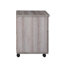 40cm Wide 2 -Drawer Mobile File Cabinet