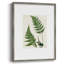 Impression encadrée Fern II - bois massif 51004-644933522