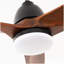 Hot sales Ventilateur de plafond noir moderne de 52 pouces avec moteur à courant continu réversible à télécommande 3 lumières à DEL à 3 couleurs à intensité variable