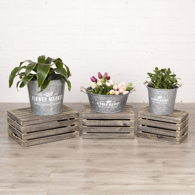 Pot de fleurs en métal Elkhorn, H 6,75 po x l 8 po x P 8 po