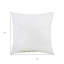 Coussin intérieur 18 po x 18 po-105621139