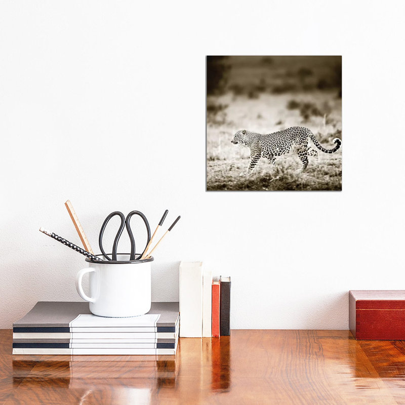Approaching Leopard by Klaus Tiedge - Wrapped Canvas Print, 30.48 cm H x 30.48 cm W