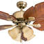 Ventilateur de plafond 52 po Royal Palm-1018417162