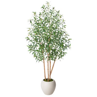 Adcock 6ft Artificial Olive Tree in 12" Pot- Real Wood Trunks, Weighted Heavy Base, Faux Silk Floor Plant