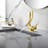 Single-Hole Single-Handle Bathroom Faucet With Drain Assembly