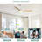 56" 3-Blade White Modern LED Ceiling Fan Light With Remote Control