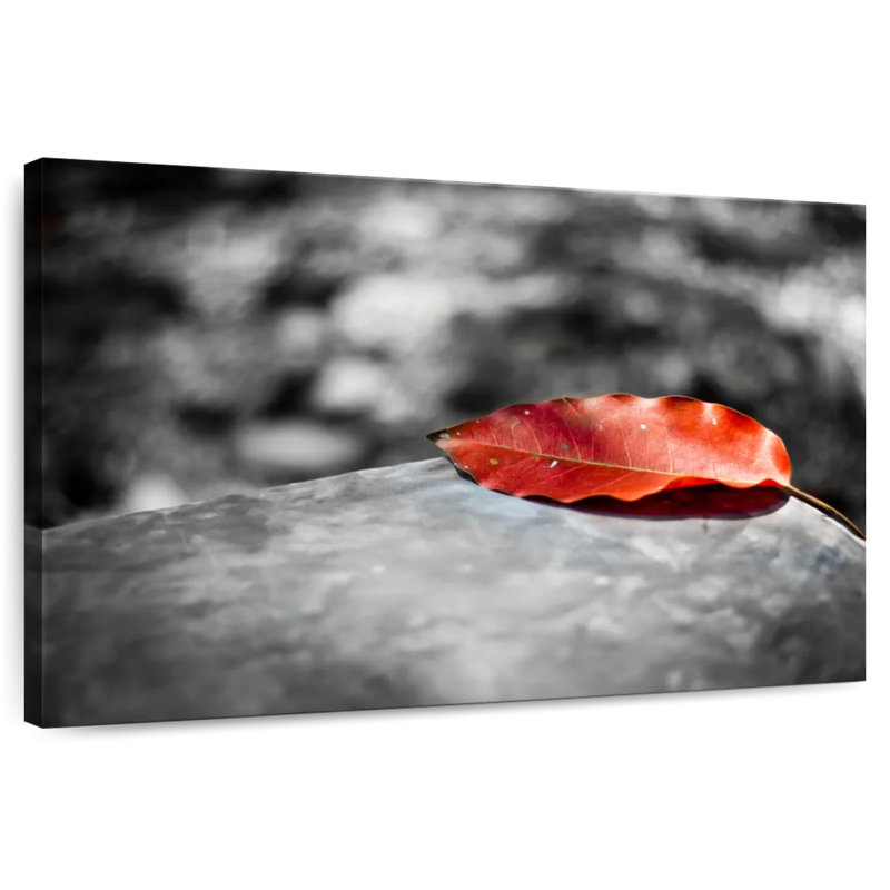 Harnek Pop Autumn Leaf, H 8 po x l 12 po