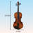 Professional 4/4 Full Size Violin Set