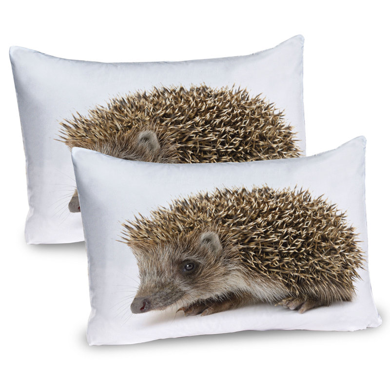 Ensemble de 2 taies décoratives pour petit hérisson Ambesonne 26 po x 20 po brun cacao