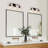 Kinman 3 - Light Dimmable Vanity Light