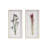 Dried Flower 2-Piece Shadow Box Wall Decor Set