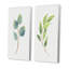 «Green Otanical Leaves and Flower II», ensemble de 2 impressions-1062366856-1062366863