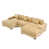 Chameau sélectionné
