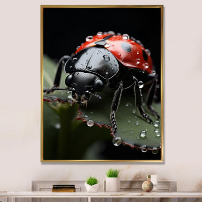 Leyona " Animal Ladybug I "