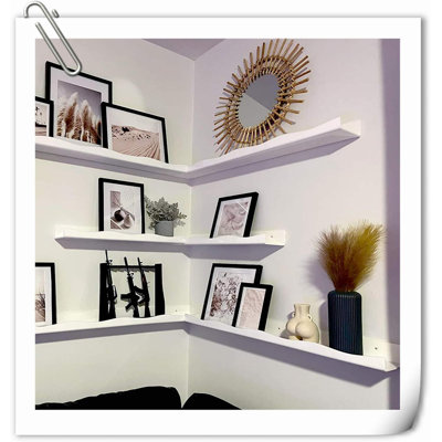 Kennethia 2 Piece Acrylic Floating Shelf