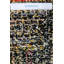 One-of-a-Kind 4'4" X 7'8" Area Rug