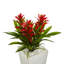 Arrangement floral triple bromeliad en pot-26161105-24745654