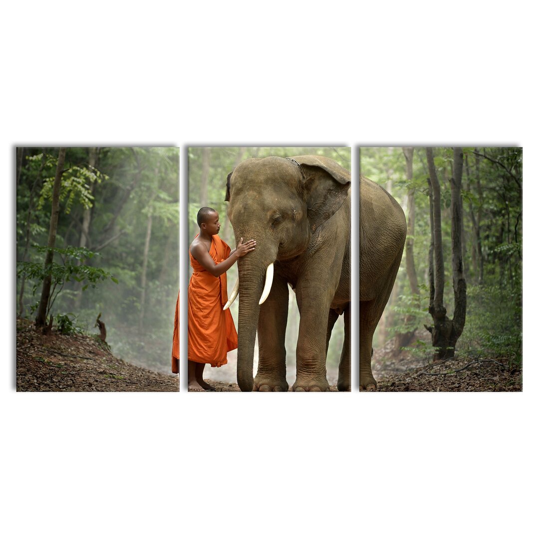 3-tlg. Leinwandbilder-Set Beautiful Elephant with Monk