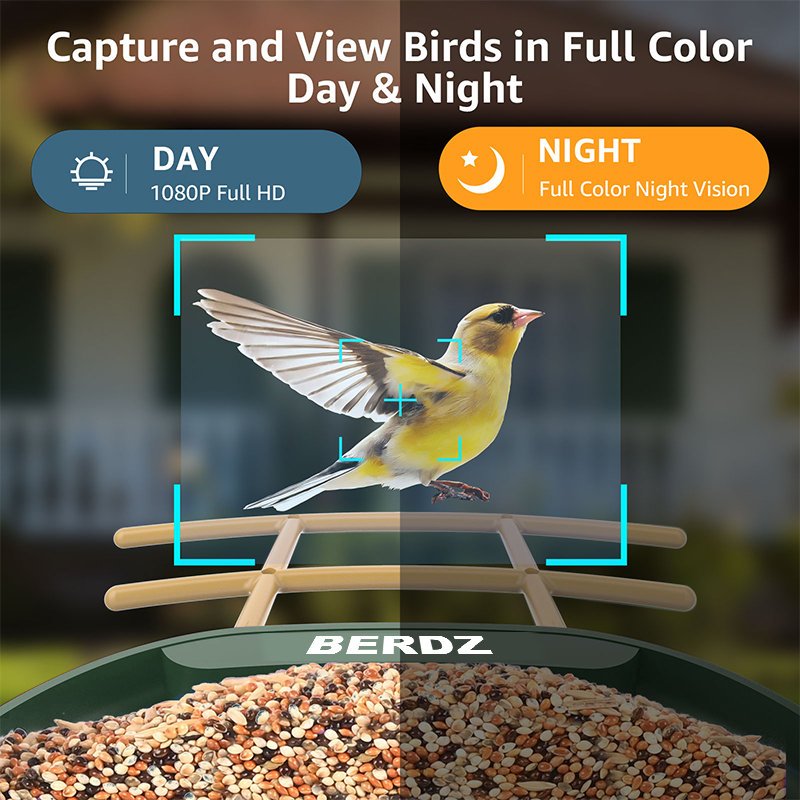 Mangeoire à oiseaux intelligente avec caméra alimentée à l'énergie solaire, caméra vidéo HD 2K
