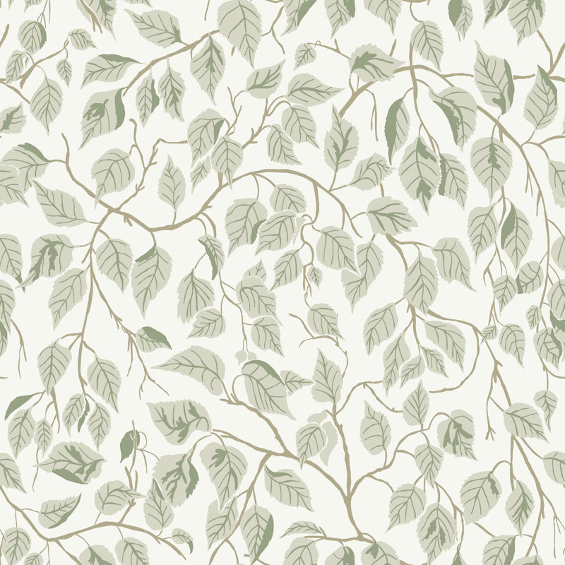 Papier peint Haube sauge, Vert clair