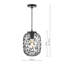 1 - Light Black Glass Pendant
