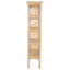 Chippendale Bookcase-87325857